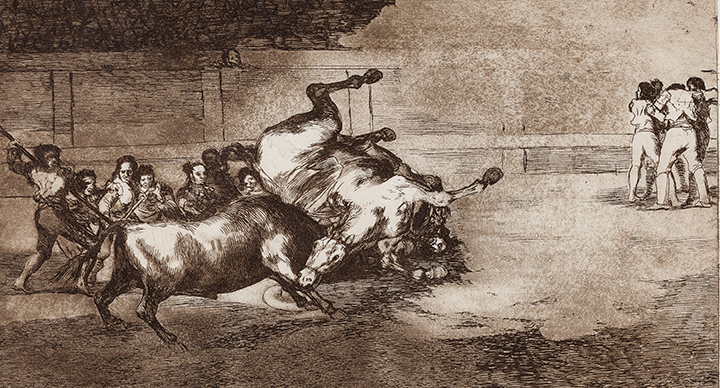 Caballo derribado por un toro
