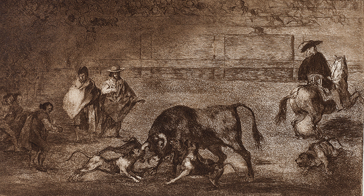 Perros al toro