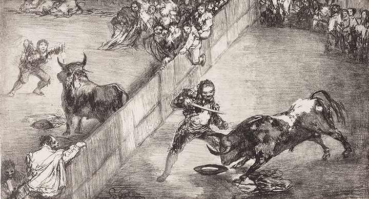 Toros de Burdeos