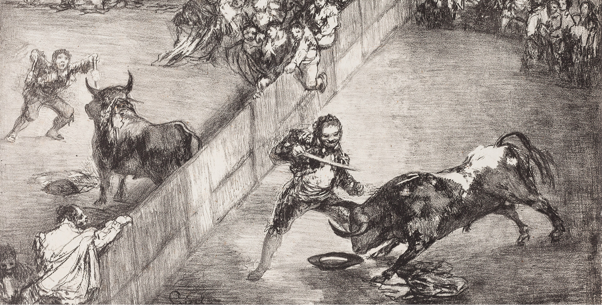Toros de Burdeos