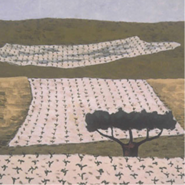 Boletín Nº 104