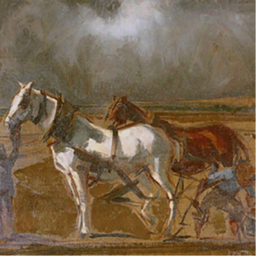 Boletín Nº 43